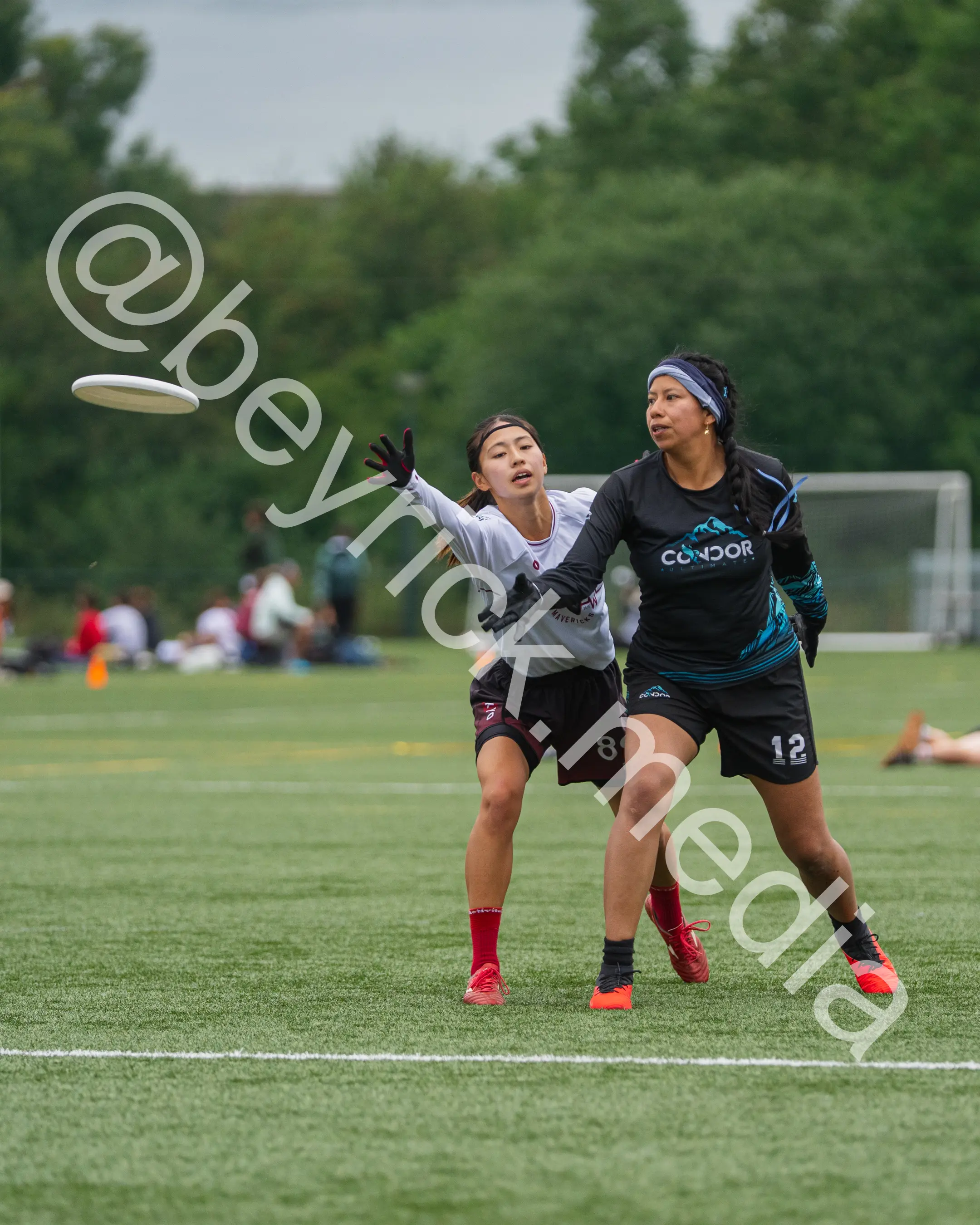 Condor — con_wucc26-11.jpg