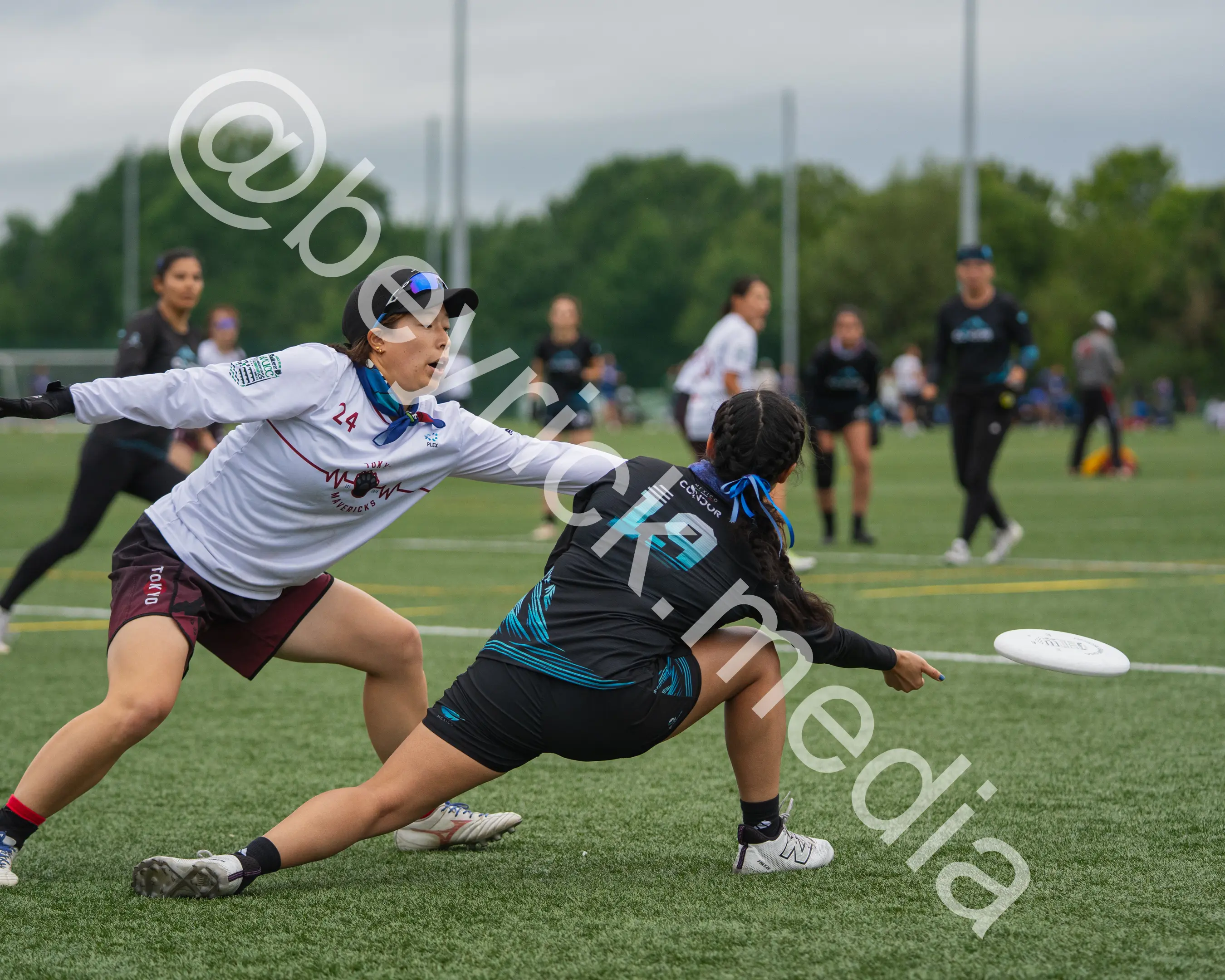 Condor — con_wucc26-14.jpg