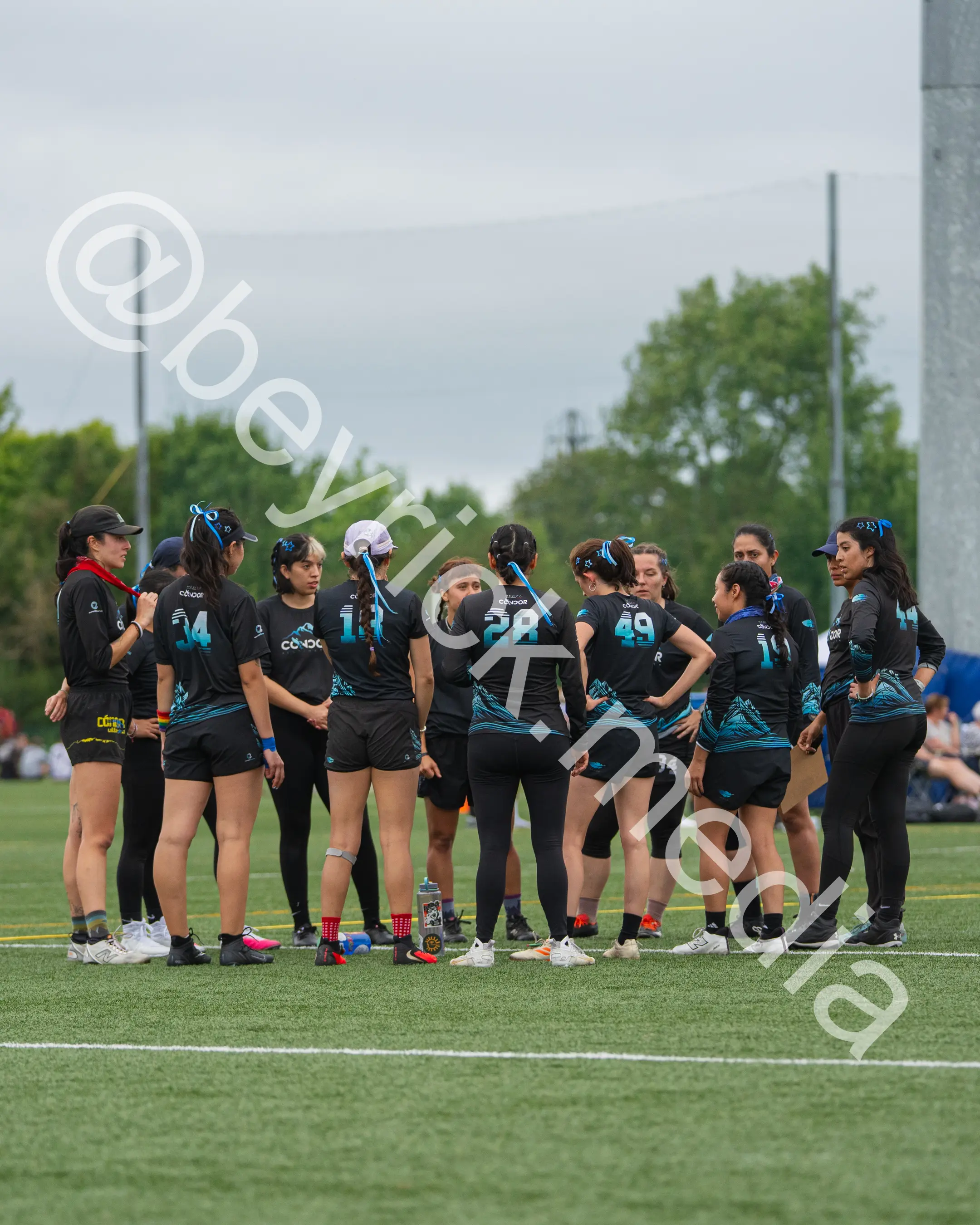 Condor — con_wucc26-15.jpg