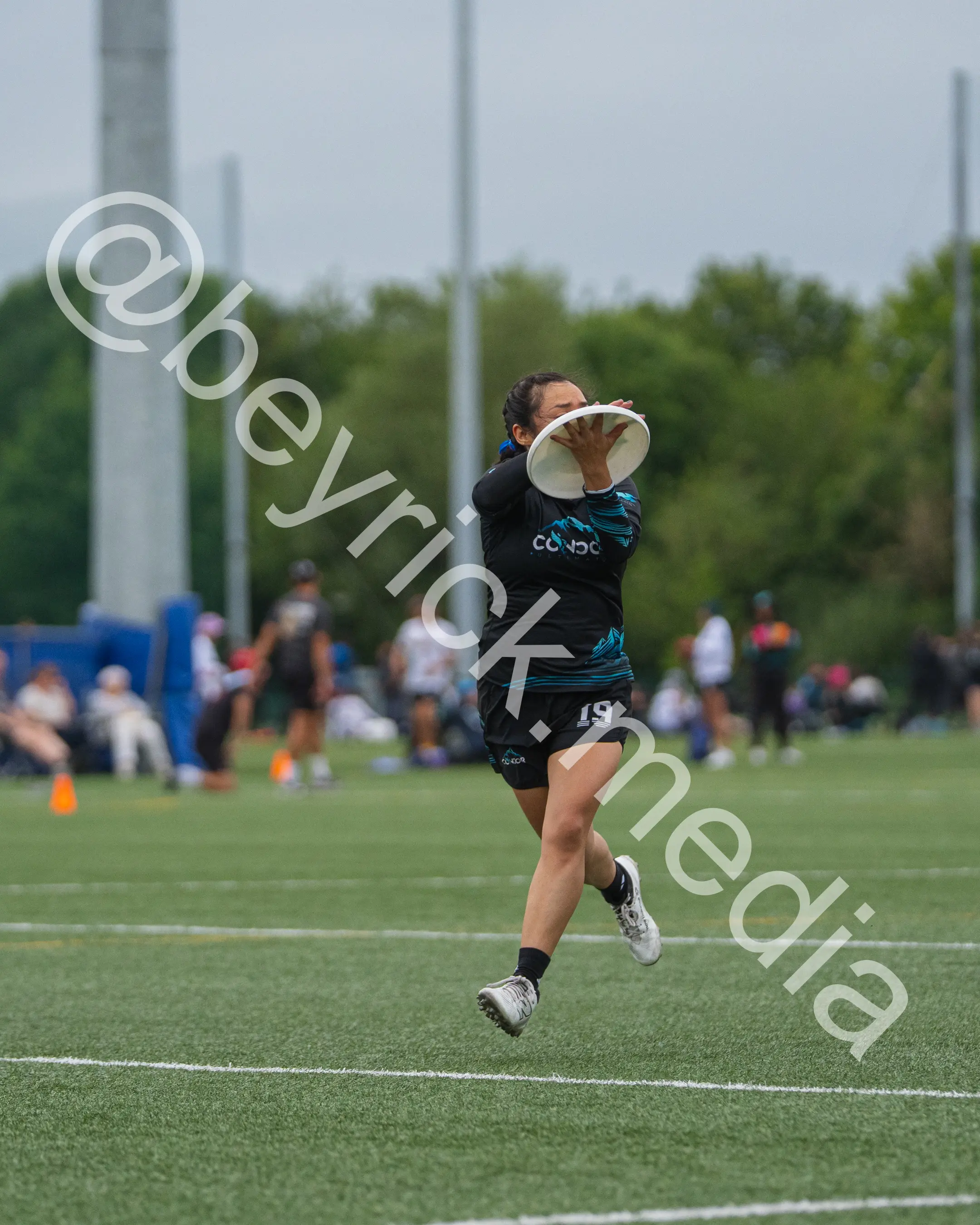 Condor — con_wucc26-26.jpg
