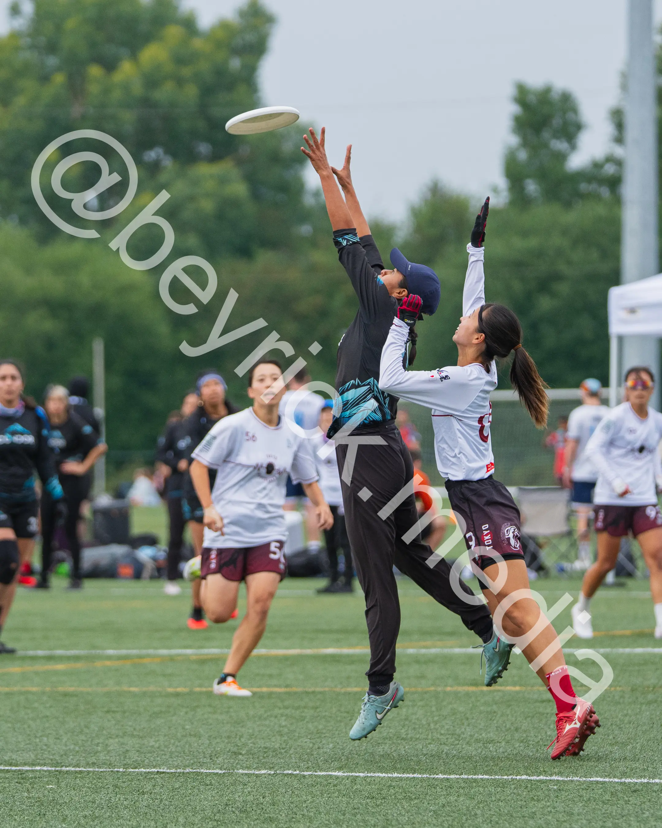 Condor — con_wucc26-43.jpg