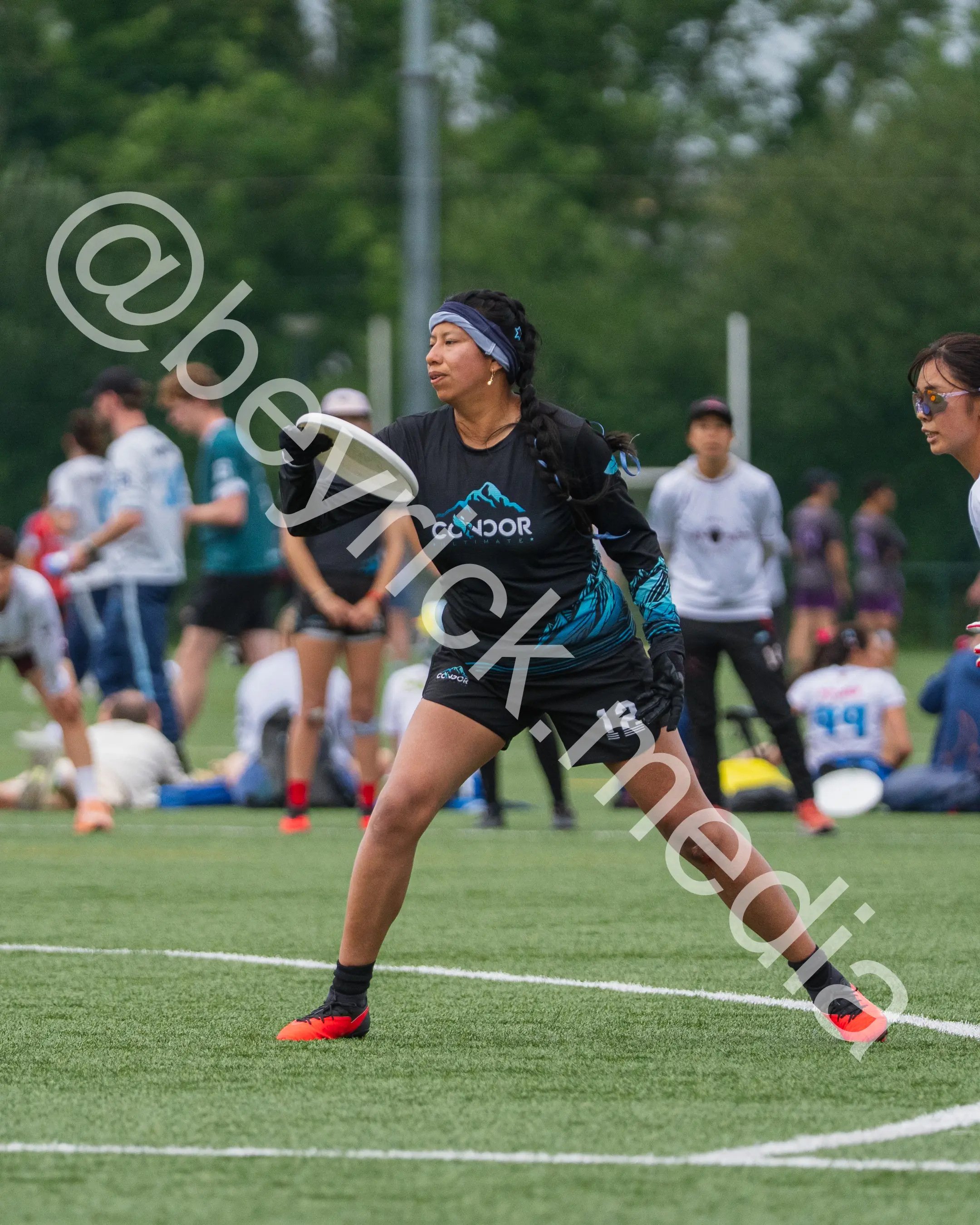 Condor — con_wucc26-45.jpg